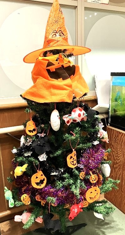 私のおススメ紹介します！